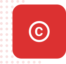 IP Enforcement & Copyright