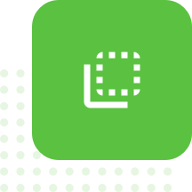 IP Management