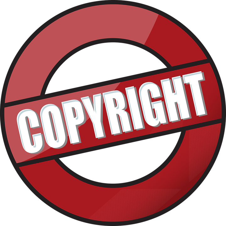 Copyright Claim under the Scanner of Mandatory Registration